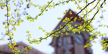 欧博abg - 官方网站登录入口