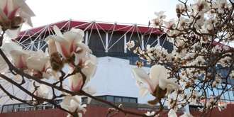 欧博abg - 官方网站登录入口