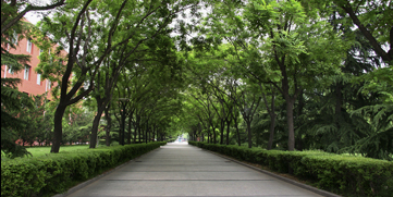 欧博abg - 官方网站登录入口