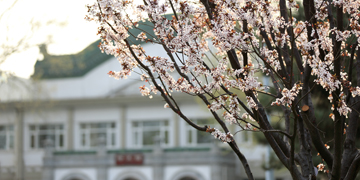 欧博abg - 官方网站登录入口