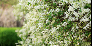 欧博abg - 官方网站登录入口