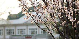 欧博abg - 官方网站登录入口