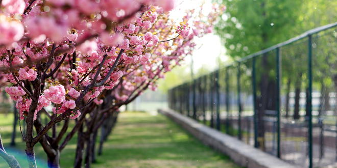 欧博abg - 官方网站登录入口