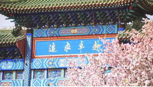 欧博abg - 官方网站登录入口