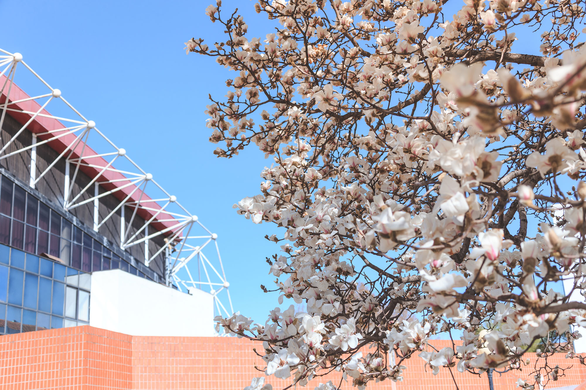 欧博abg - 官方网站登录入口